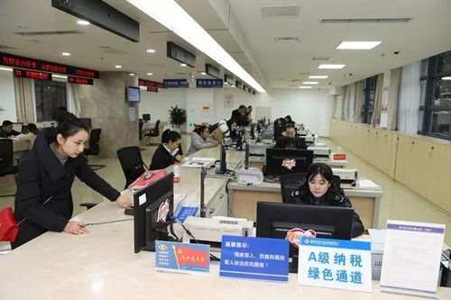 政策保障、精準服務、法治護航 黔江民營經濟總盤子越做越大